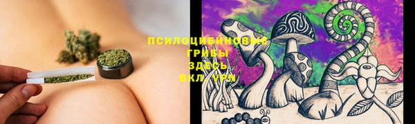 тгк Вяземский
