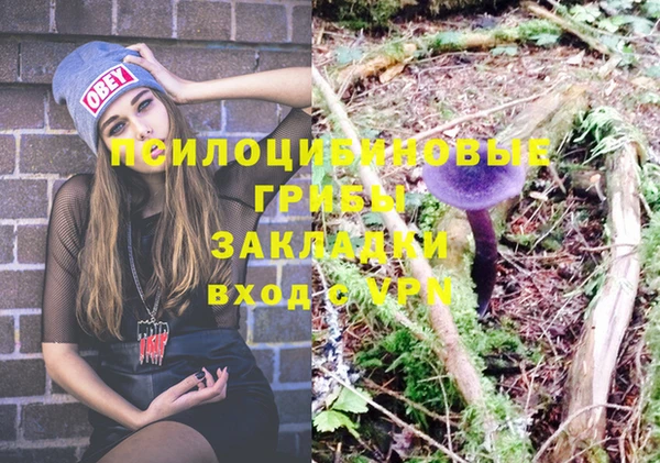 мдпв Вязьма