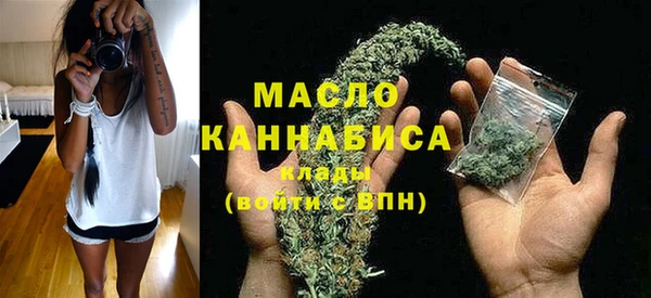 тгк Вяземский