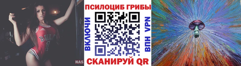 Псилоцибиновые грибы Psilocybine cubensis  Ермолино 